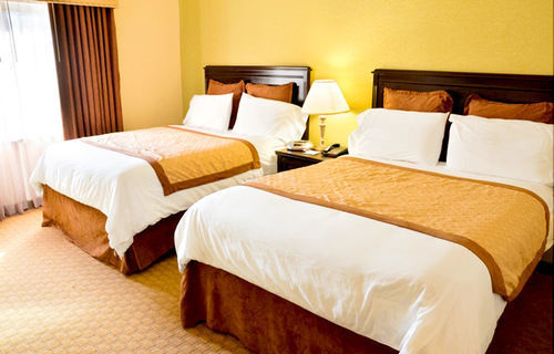 Hawthorn Extended Stay By Wyndham Kingsland 3*